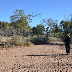 walking track at Dead Horse Gully
