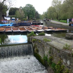 Punts for hire