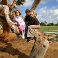 Eneabba 2008