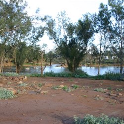 Galena Bridge Free Camp Area