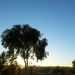 Sunset from Anzac Hill