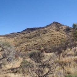 On the Larapinta Trail