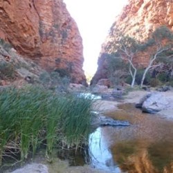 On the Larapinta Trail