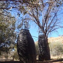 Recycled Art in Olive Pink Botanic Garden