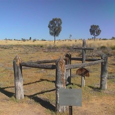 Grave of John McLernon
