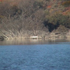 Flooded site of Well 40 