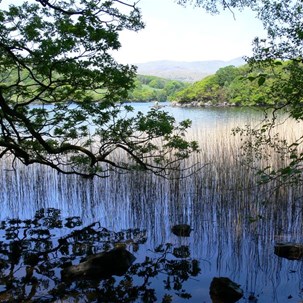 Great views from shady campsites