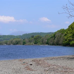 Soaking up the sun on a shingle shore