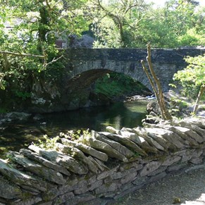 beside the stream near Elterwater