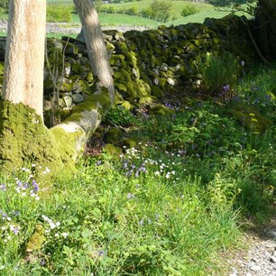 The charm of the back lanes