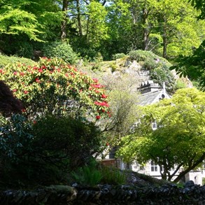 Houses tucked away in lush gardens