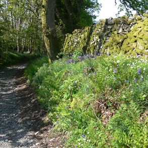 Beauty in out of the way lanes