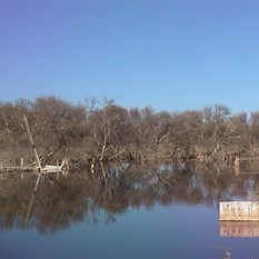 Well 41 - underwater 