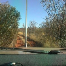 Overgrowth alongside track - must have closed windows to avoid whipping faces 