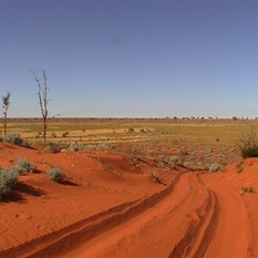 Track - Well 41 to Well 42