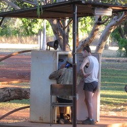 The phone booth at Drysdale Station