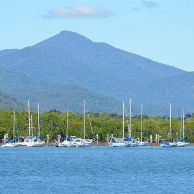 Yachts in Trinity Inlet, Cairns