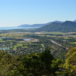 Views from the Train 