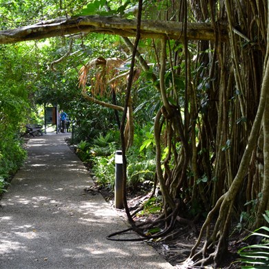 Kuranda town Walkway 