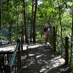 Barron Gorge viewing platform 