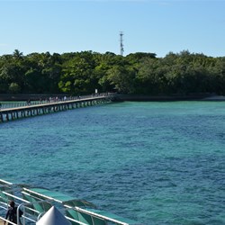 It was an enjoyable walk up the jetty 