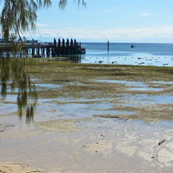 Green Island Wharf - Low  Tide 