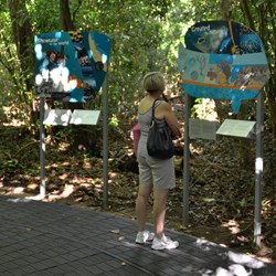 Green Island Rainforest Walk 