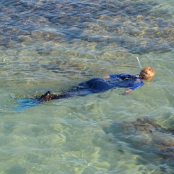 Snorkelling on the Reef 