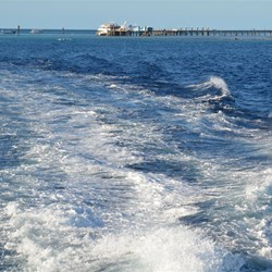 Farewell Green Island 