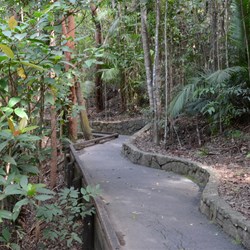 Barron Gorge Walk to viewing area 