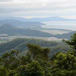 Rex Range Lookout 