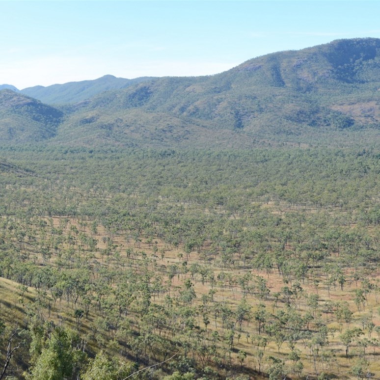 View from Bob's Lookout