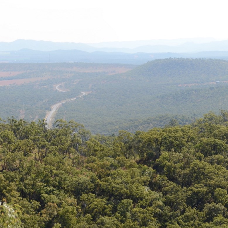 View from the James Earl Lookout