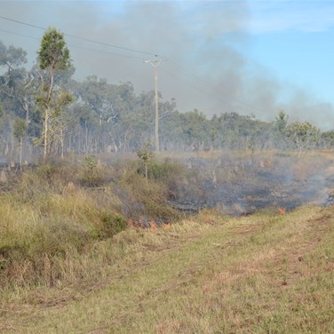 Roadside Burning off 