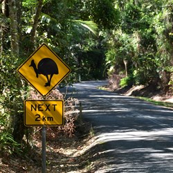 The start of the road to Cape Tribulation 