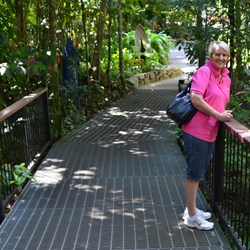 Fiona on one of the Forrest Walks 