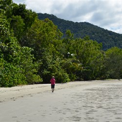 Cape Tribulation beach 