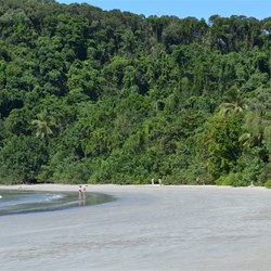 Cape Tribulation beach 