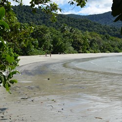 Cape Tribulation beach 