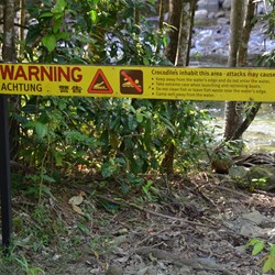 Crocodile Warning Sign 