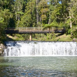 Malanda Falls 
