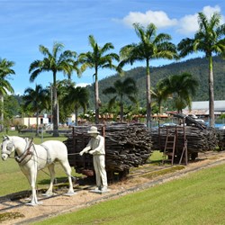Display at the Tully Sugar Mills 