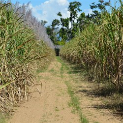 This track took us to the Confluence 
