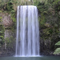 Millaa Millaa Falls 