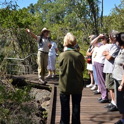 Before we head down to the Lava Tubes 