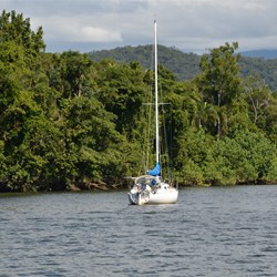 Daintree River Scenery 