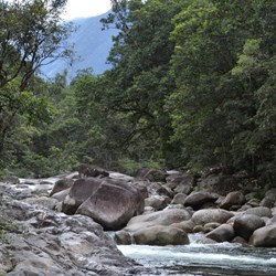 Mossman Gorge 
