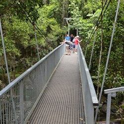 Rex Creek Suspension Bridge 