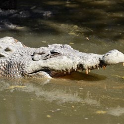 Smile for the Camera 