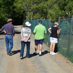 Getting up close to the Crocodiles 